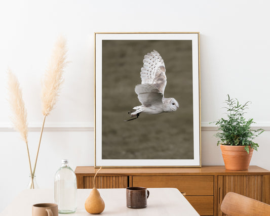 Filmposter | Fotografie | 4er